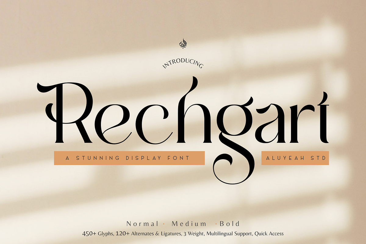 Rechgart, a Serif Font by Aluyeah Studio (Photo 1 of 15)