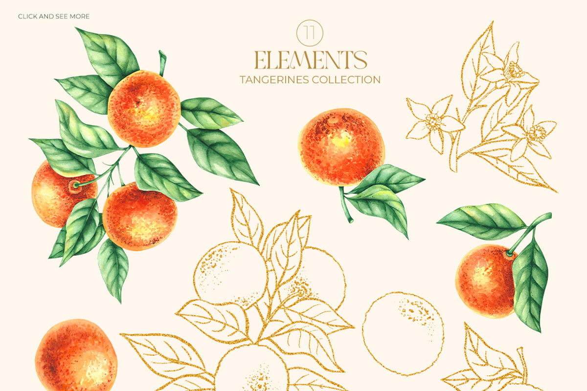 Tangerines Watercolor collection, a Decorative Illustration by SashaKondr (Photo 12 of 14)