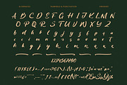 Routine Oldnight Modern Brush Font, a Script Font by Letterena Studios Script (Thumbnail 18 of 20)