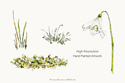 Snowdrop Watercolor Clipart Set, a Decorative Illustration by MariaScaroniAtelier (Thumbnail 3 of 7)
