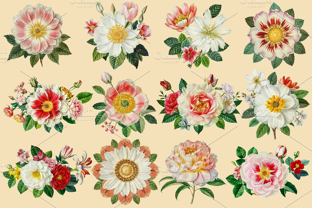 Vintage Collage Creator 99+ Elements, an Illustration by DigitalDesignAI (Photo 20 of 28)