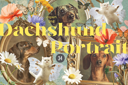 Dachshund Portrait