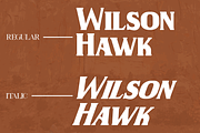Wilson Hawk - Modern Serif Typeface, a Serif Font by overlaytemplates (Thumbnail 2 of 6)