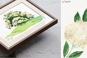 Elderberries&Elderflowers Collection, a Food Illustration by TanyaOak (Thumbnail 7 of 9)