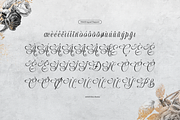 Raufendry Beauty Calligraphy Script, a Script Font by Denustudios (Thumbnail 12 of 12)
