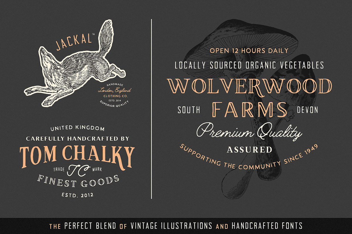19 Vintage Fonts Bundle & Extras preview 2