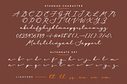 Amolley - a signature script, a Handwritten Font by Beautypes (Thumbnail 6 of 7)