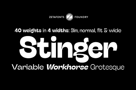 Stinger - 42 fonts, a Sans Serif Font by Zetafonts