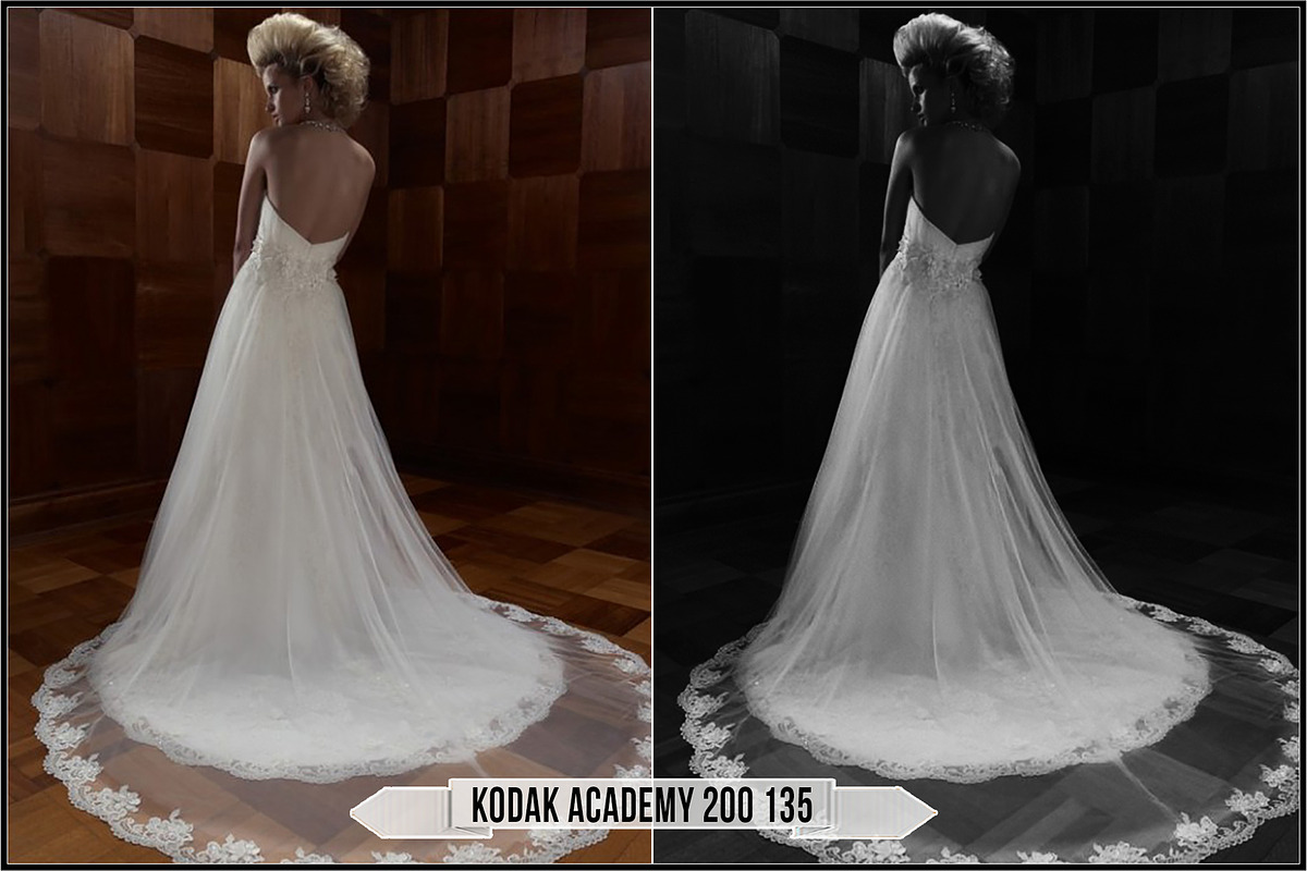 Eastman Kodak Black White Films LUTs, a Plug-in Add-On by Raztrend (Photo 20 of 30)