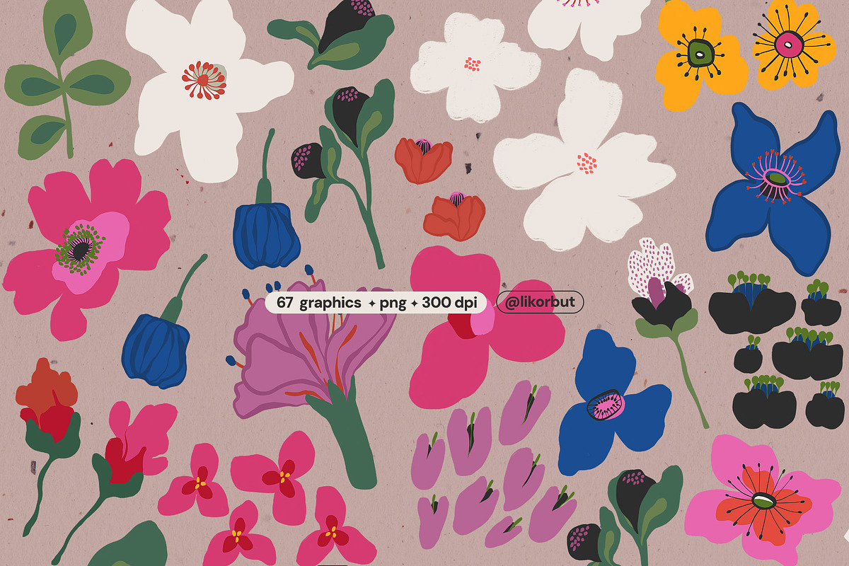 Flower Market Botanical Graphics, a Decorative Illustration by likorbut (Photo 4 of 9)