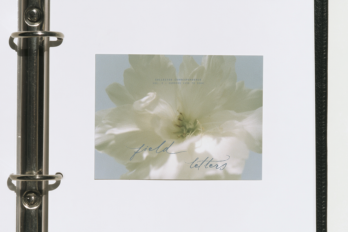 Midnight Symphony // Script font, a Handwritten Font by PeachCreme (Photo 8 of 15)