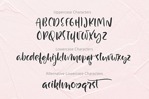 Just Case Modern Script Font