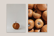 Fall Collection 3, a Beauty & Fashion Photo by Floral Deco (Thumbnail 3 of 8)