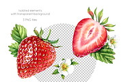 Watercolor Strawberry: whole + half, a Background Graphic by Akvarelldesign (Thumbnail 2 of 2)