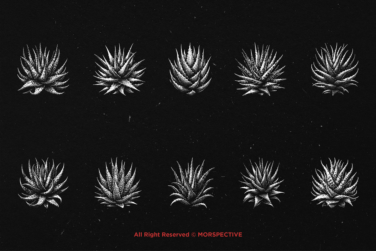 10 Bundle Dark Art Aloe Vera Cactus, an Illustration by Morspective (Photo 6 of 7)