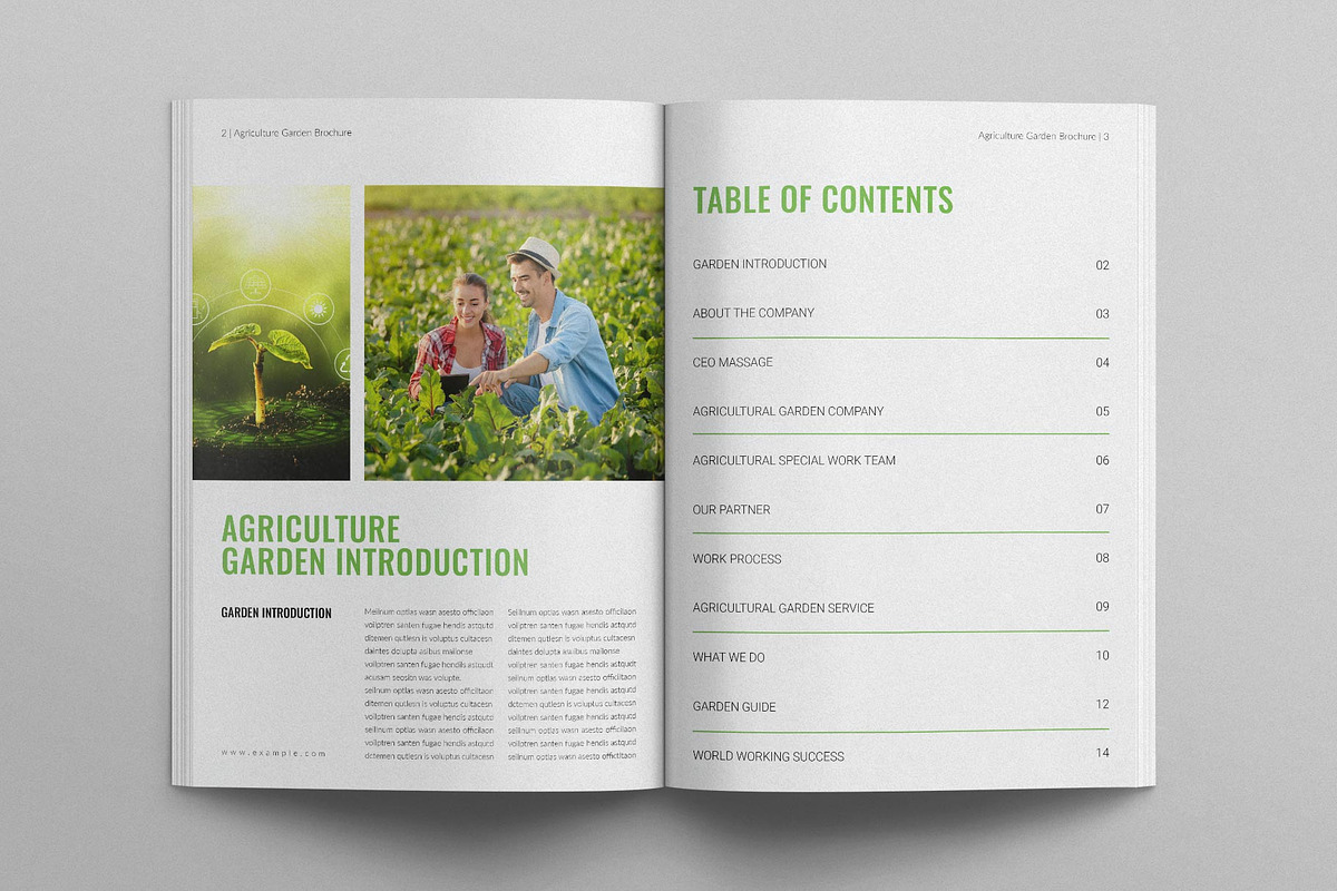 Agriculture Garden Brochure Template, a Brochure Template by E-Type (Photo 2 of 7)