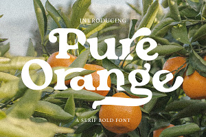 Pure Orange - Serif Bold Font