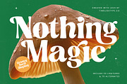 Nothing Magic Retro Groovy Serif, a Serif Font by timelesstype.co (Thumbnail 1 of 20)