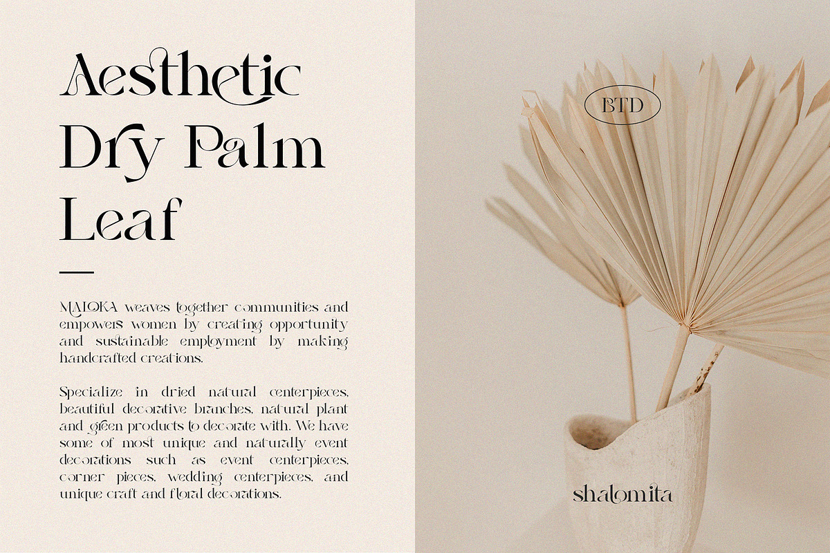 Shalomita, a Serif Font by Burntilldead (Photo 4 of 14)
