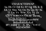 Seira || Modern Elegant Serif Font, a Serif Font by Ermedia Studio (Thumbnail 10 of 10)