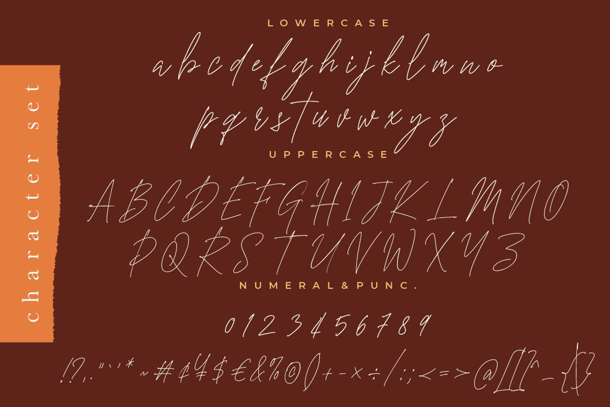 Monstera Signature Monoline, a Script Font by Creatype Studio (Photo 8 of 9)