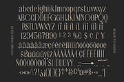Noctaire - Modern Serif, a Serif Font by Sronstudio (Thumbnail 17 of 18)