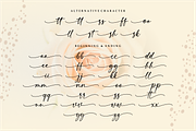 Steinfeld a Handwritten Font, a Script Font by Vilogsign (Thumbnail 11 of 11)