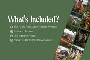 50 Farm Life Stock Photos, an Animal Photo by Incomelion (Thumbnail 3 of 9)
