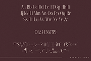Avarice - serif typeface | 4 fonts, a Serif Font by Only Fonts (Thumbnail 8 of 10)