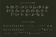Seralace - Elegant Handwritten, a Handwritten Font by Indotype Foundry (Thumbnail 2 of 10)