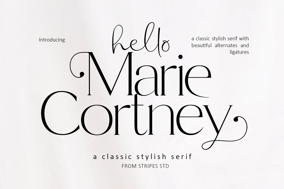 Marie Cortney, a Serif Font by Stripes Studio (Photo 1 of 14)