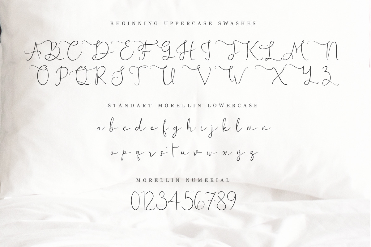 Morellin Elegant Script, a Script Font by Say Studio (Photo 12 of 16)