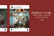 Holiday Mixed Bundle (40 Images), a Holiday Photo by studiottander (Thumbnail 5 of 6)