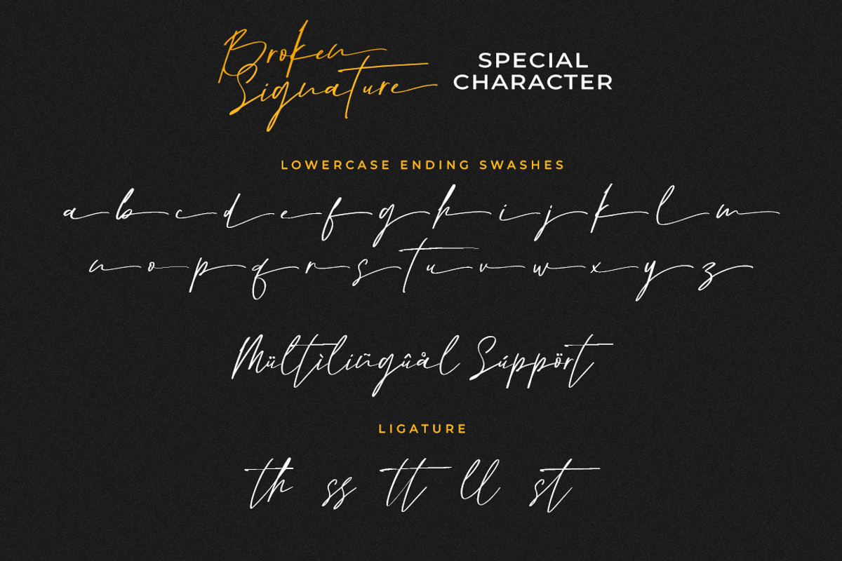 Broken Signature, a Handwritten Font by Beautypes (Photo 7 of 7)
