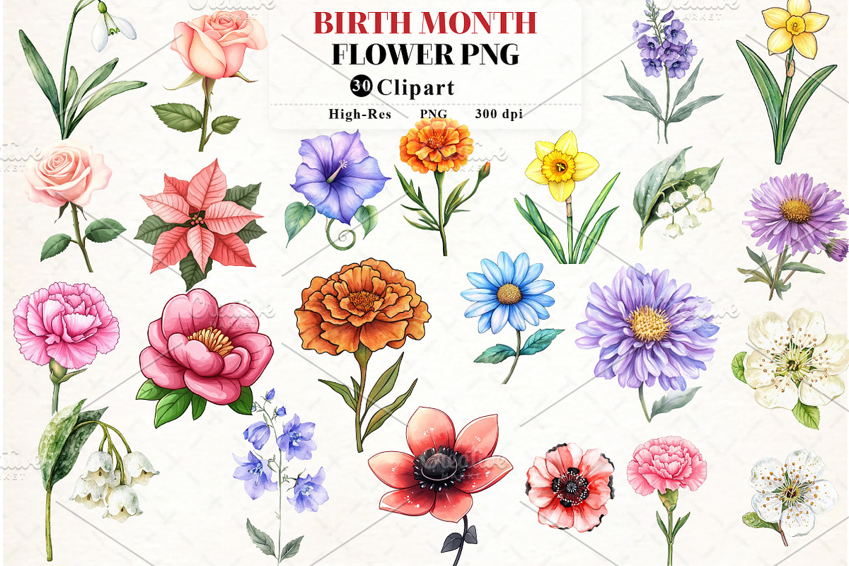 Birth Month Flower Clipart, an Illustration by Watercolor design (Photo 1 of 5)