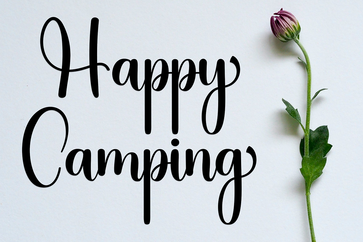 Bloomishly, a Handwritten Font by FreshTypeINK (Photo 5 of 8)