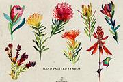 Watercolor Fynbos Art, a Decorative Illustration by Karliefie (Thumbnail 2 of 2)
