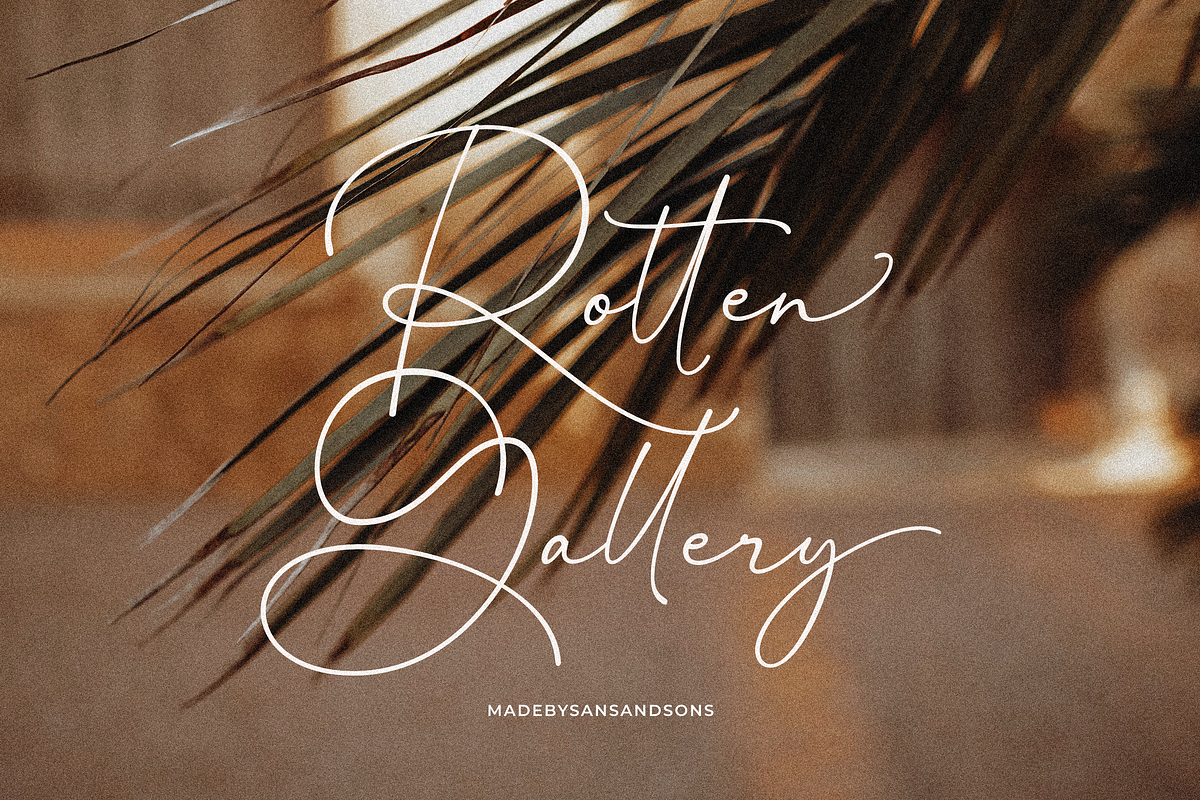 Emily Brunette - Signature Font, a Script Font by Sans & Sons (Photo 6 of 9)