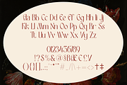 Kesto - Variable Nouveau Font Family, a Sans Serif Font by Valentino Vergan (Thumbnail 6 of 10)