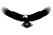 50 Flying Eagle Silhouette Vector Bu, an Illustration by Designs_River (Thumbnail 23 of 51)