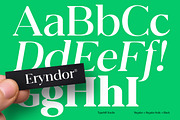Eryndor, a Serif Font by Typehill (Thumbnail 8 of 13)