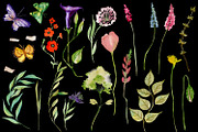 Nature Collection watercolour flower, a Decorative Illustration by ElenazlataArt (Thumbnail 4 of 8)