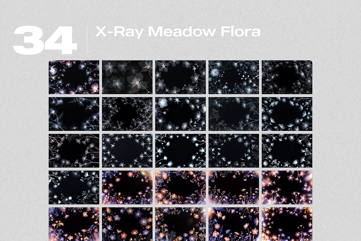 X-Ray Meadow Flora Overlays, a Texture Graphic by PhotoSpirit (Photo 8 of 8)