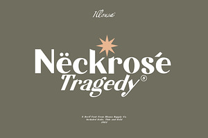 Neckrose - Serif Family Typeface