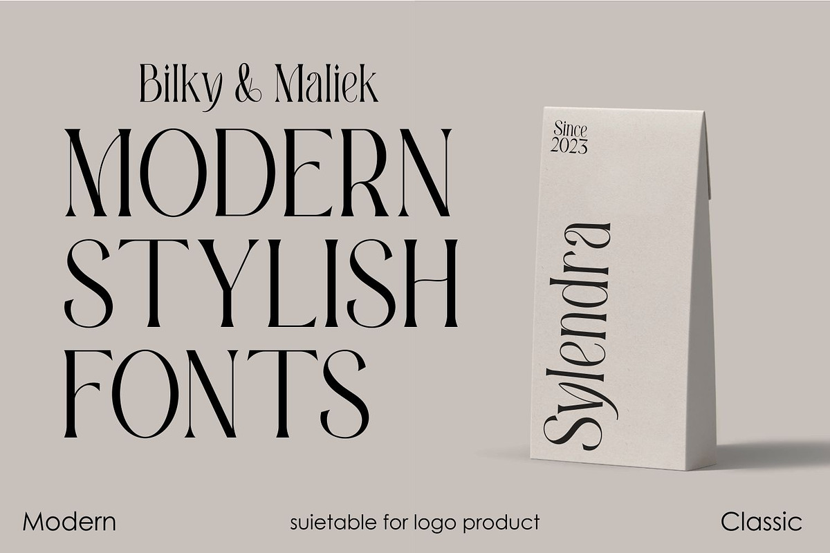 Bilky Maliek Beautifull Serif Font, a Serif Font by WhymoreArt (Photo 5 of 10)