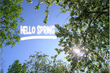 Spring banner. Hello, Spring. The, a Nature Photo by darksoul72