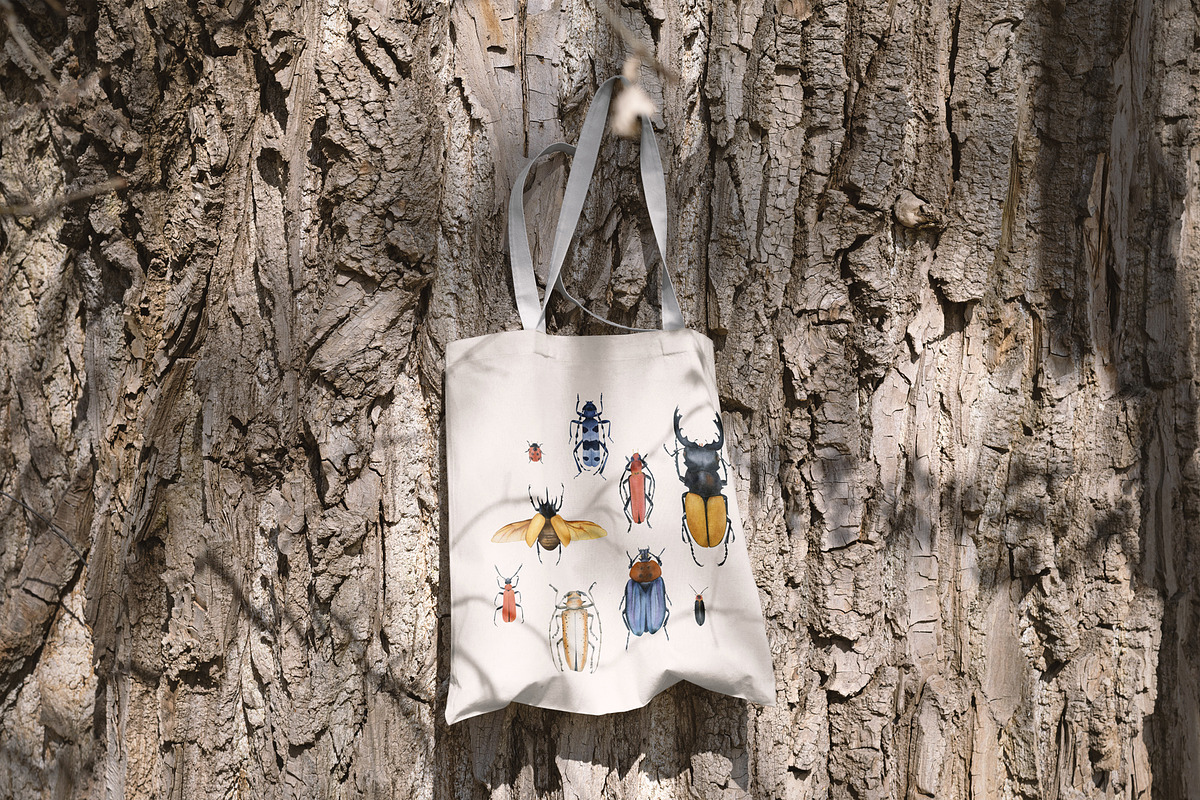 Beetles watercolor collection, an Animal Illustration by Diana Askarova Art (Photo 7 of 12)