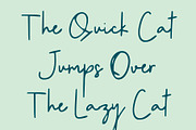 CS Galysia Drawn, a Script Font by Craft Supply Co. (Thumbnail 5 of 8)