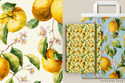 Citrus mood-summer seamless patterns, a Pattern Graphic by Pamyatka Shop (Thumbnail 4 of 13)