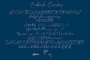 Backwash - Casual Script Font, a Script Font by Fontcastle (Thumbnail 4 of 9)
